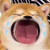 Tỷ