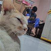Nă