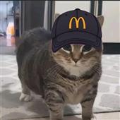 Tr