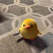 Me