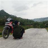 Gấ