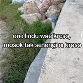 Ki