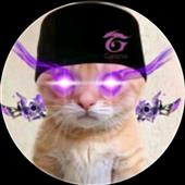 Cá