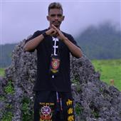 Li