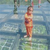 Mắ