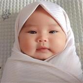 Sứ