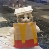 Kỷ