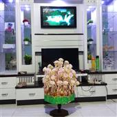 Lị