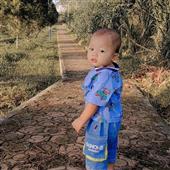 Bắ