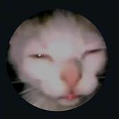 Ro