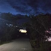 Cử
