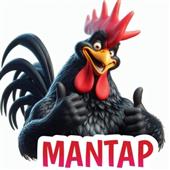 Qu