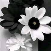 Bữ