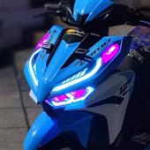 bi