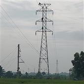 Cu
