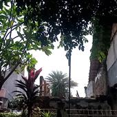 Vụ