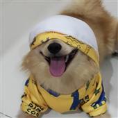 Lo