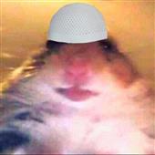 Mi