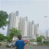 Lu