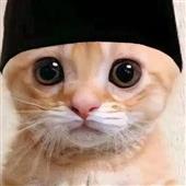 Lị