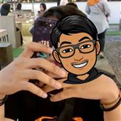 T1