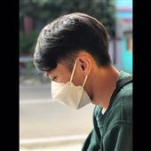 gấ