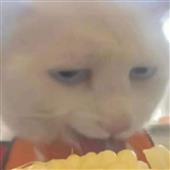 Cô