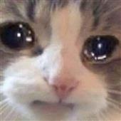 Lị