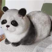 ch