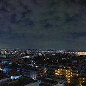 Vị