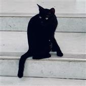 Bá