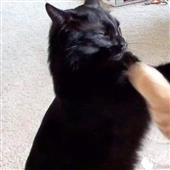 Kh