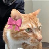 Đạ
