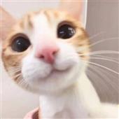 Kh