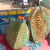 Vạ