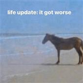 Ng