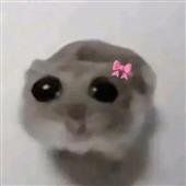 Di