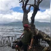 CỪ