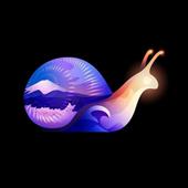 Đu