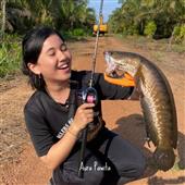 Vậ