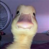 Go