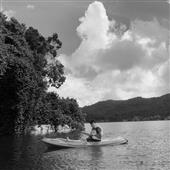 Bữ