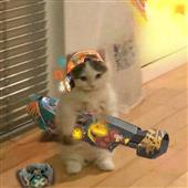 He