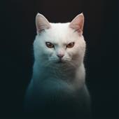 Un