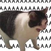 Wo
