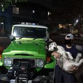 Dự