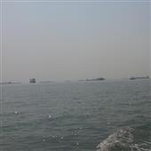 Tỷ