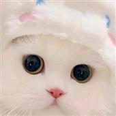 Ch
