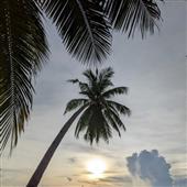 Sự