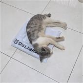 Ga
